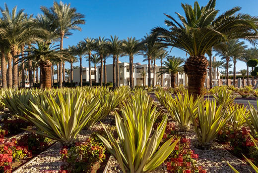 case-study-cybersecurity-services-for-a-southern-california-city-thumb